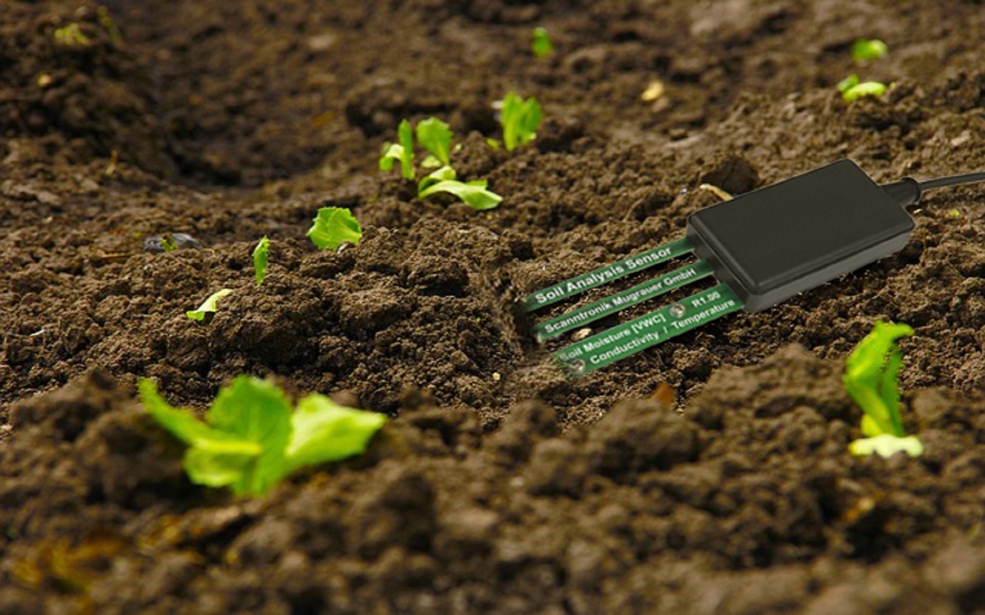 What is soil electrical conductivity? how does Precision Eco-Landscaping (PEL) consider it in Eco-landscaping?